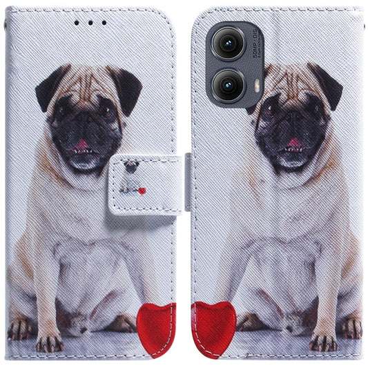 For Motorola Edge 2024 Coloured Drawing Flip Leather Phone Case(Pug) - Motorola Cases by buy2fix | Online Shopping UK | buy2fix