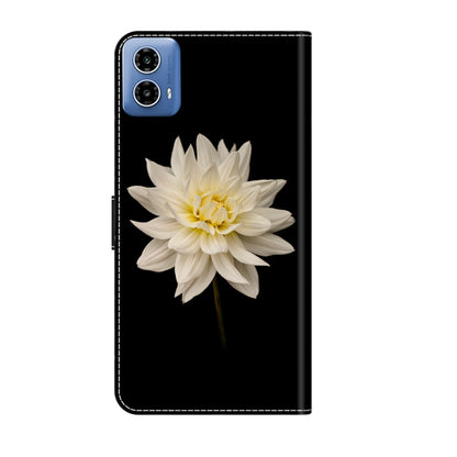 For Motorola Moto G24 Crystal 3D Shockproof Protective Leather Phone Case(White Flower) - Motorola Cases by buy2fix | Online Shopping UK | buy2fix