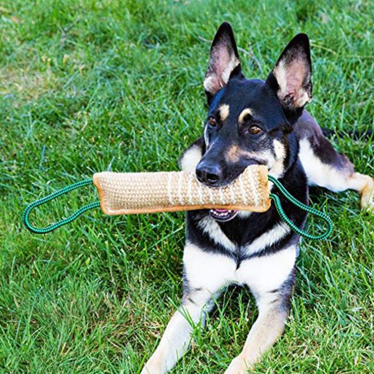 Dog Training Hemp Bite Stick Dog Bite Stick Dog Training Supplies(A4) - Training Aids by buy2fix | Online Shopping UK | buy2fix