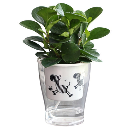 Fully Transparent Hydroponic Flower Pots Water Level Visible Non-Broken Glue Self-Absorbent Plastic Flower Pots, Size: W05 Caliber 13cm(Full Transparent Zebra Pattern) - Flower Pots & Planters by buy2fix | Online Shopping UK | buy2fix