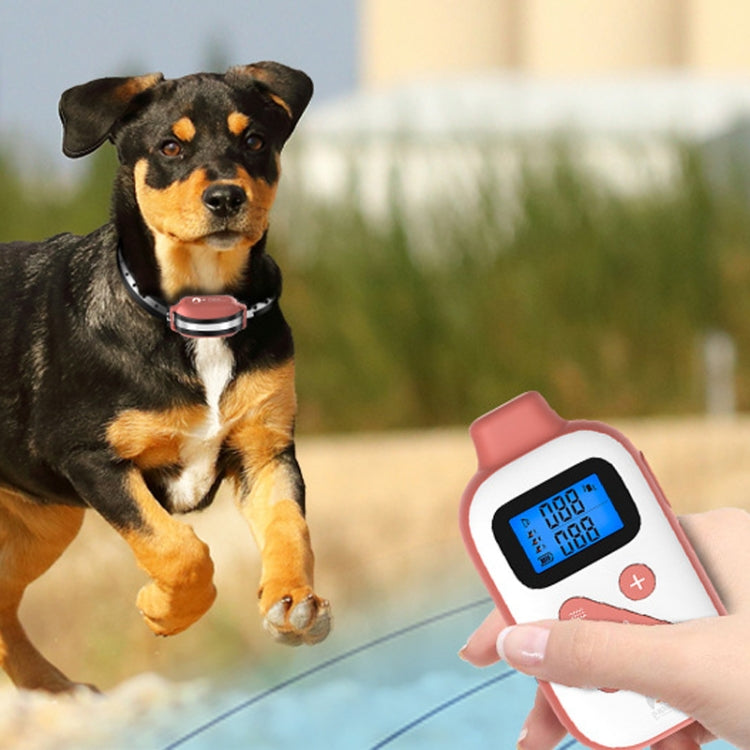 PaiPaitek PD523 1000m Remote Control Rechargeable Waterproof Dog Trainer - Training Aids by PaiPaitek | Online Shopping UK | buy2fix