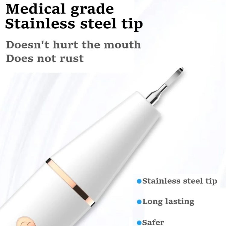 Ultrasonic Electric Dental Scaler Teeth Plaque Cleaner Dental Stone Removal With LED Light, Spec: Package A - Teeth Whitening by buy2fix | Online Shopping UK | buy2fix