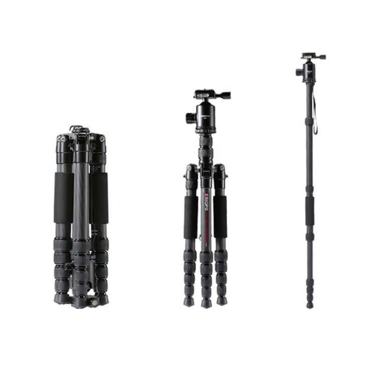 TRIOPO T259G+Q2 Adjustable Portable Carbon Fiber Tripod with Q-2 Ball Head for SLR Camera - Camera Accessories by TRIOPO | Online Shopping UK | buy2fix