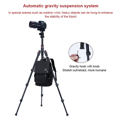 TRIOPO K2508S+B1S Adjustable Portable  Aluminum Alloy Tripod with Ball Head for SLR Camera(Black) - Tripods by TRIOPO | Online Shopping UK | buy2fix