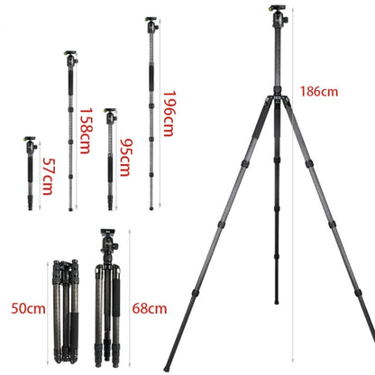 BEXIN W324C G44 Carbon Fiber Tripod Stable Shooting Camera for Video Point Dslr Camera - Camera Accessories by BEXIN | Online Shopping UK | buy2fix