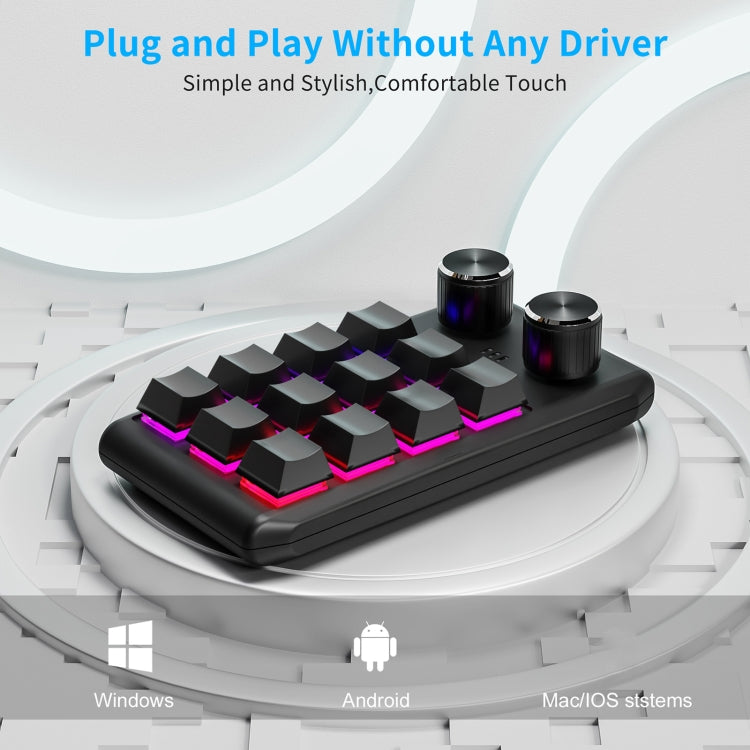 USB Wired 12KV2 MOLD Mini Mechanical 12 Keys 2 Knob Custom Programming Keyboard(Black) - Mini Keyboard by buy2fix | Online Shopping UK | buy2fix