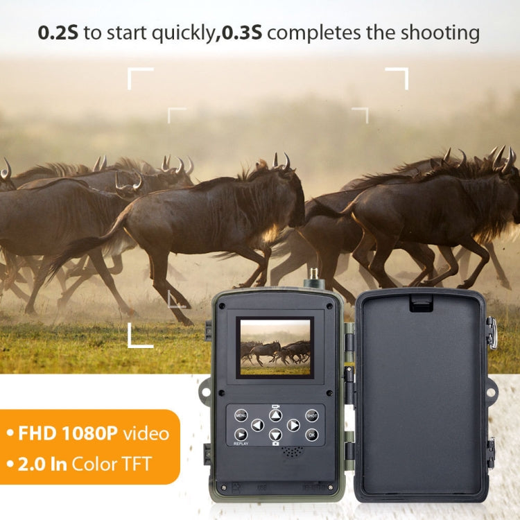 HC801LTE 4G US Version Waterproof IP65 IR Night Vision Security 16MP Hunting Trail Camera, 120 Degree Angle - Hunting Cameras by buy2fix | Online Shopping UK | buy2fix