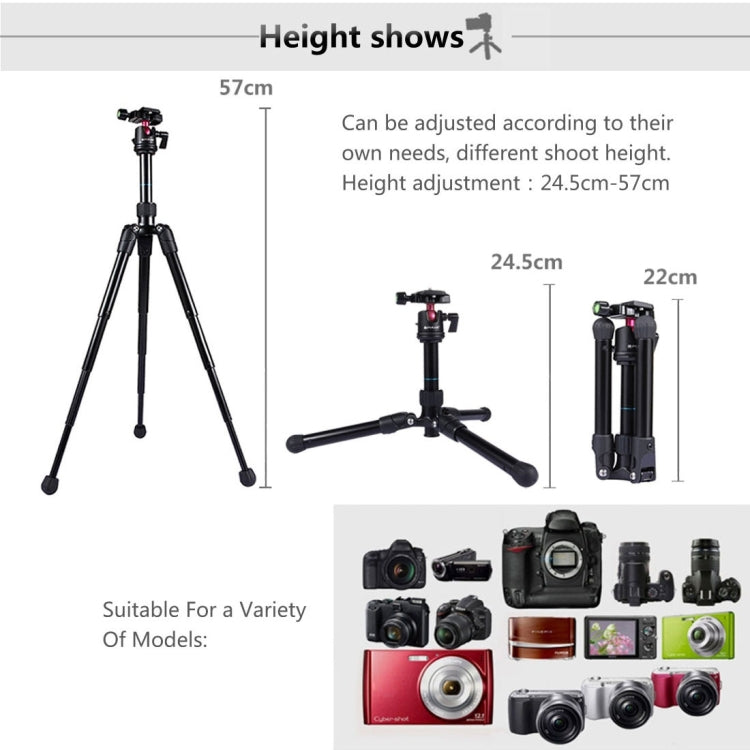 PULUZ  Pocket Mini Microspur Photos Magnesium Alloy Tripod Mount with 360 Degree Ball Head  for DSLR &  Digital Camera, Adjustable Height: 24.5-57cm, Load Max: 3kg - Camera Accessories by PULUZ | Online Shopping UK | buy2fix