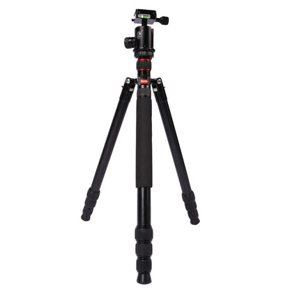 Triopo MT-2804C Adjustable Portable Aluminum Tripod with NB-2S Ball Head for Canon Nikon Sony DSLR Camera(Black) - Camera Accessories by TRIOPO | Online Shopping UK | buy2fix