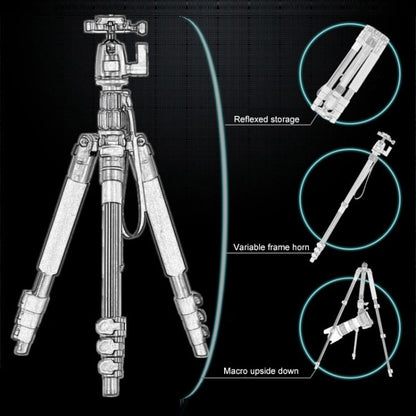 Q555 4-Section Folding Legs Aluminum Alloy Tripod Mount Monopod Holder with Ball Head - Camera Accessories by buy2fix | Online Shopping UK | buy2fix