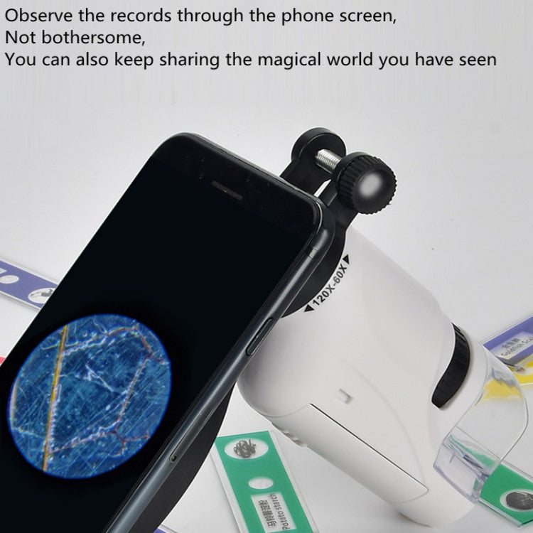 Children Handheld Portable Laboratory Equipment Microscope Toys, Colour: Lite + Bracket (Blue) - Consumer Electronics by buy2fix | Online Shopping UK | buy2fix