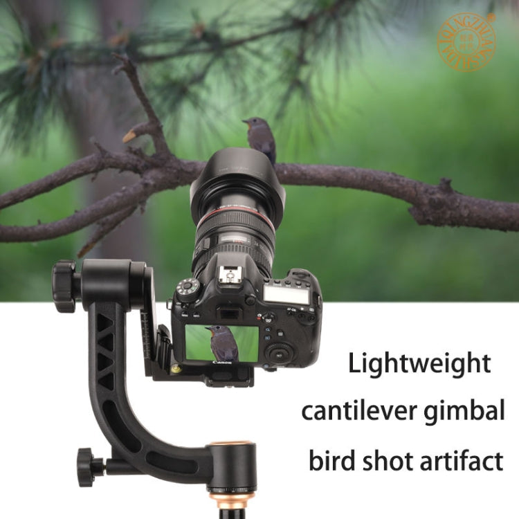 QingZhuangShiDai Q35 SLR Camera Telephoto Lens Bird Watching Tripod Head(Gold) - Camera Accessories by QingZhuangShiDai | Online Shopping UK | buy2fix