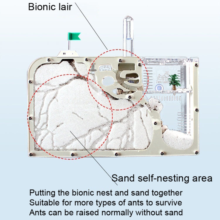 S12 Ant Workshop Ecological Toys Science Experiment Teaching Kids Ant Nest(Self-installed Version) - Early Education Toys by buy2fix | Online Shopping UK | buy2fix