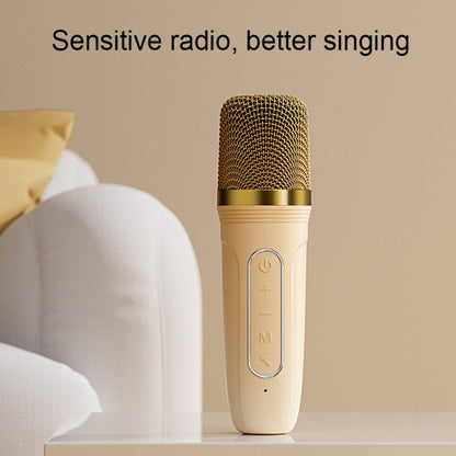 Havit P1 Portable Singing Home Wireless Bluetooth Speaker Microphone Set, Style: Dual-microphone - Microphone by Havit | Online Shopping UK | buy2fix