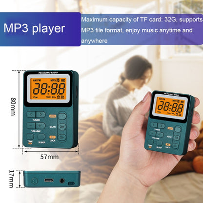 SH-01M Mini Portable Multifunctional Digital Display Two-Channel Radio, Size: JPN Version(Silver Gray) - Radio Player by buy2fix | Online Shopping UK | buy2fix